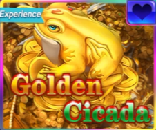 Golden Cicada